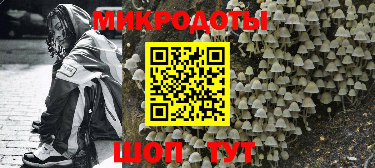 Галлюциногенные грибы Cubensis Кашира