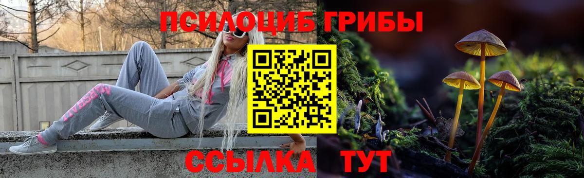 Кашира  Галлюциногенные грибы Psilocybine cubensis  Вход с VPN 
